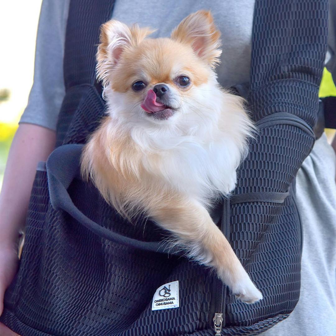 ONEKOSAMA OINUSAMA ペット用 マルチスリング 猫 犬 ペットキャリー