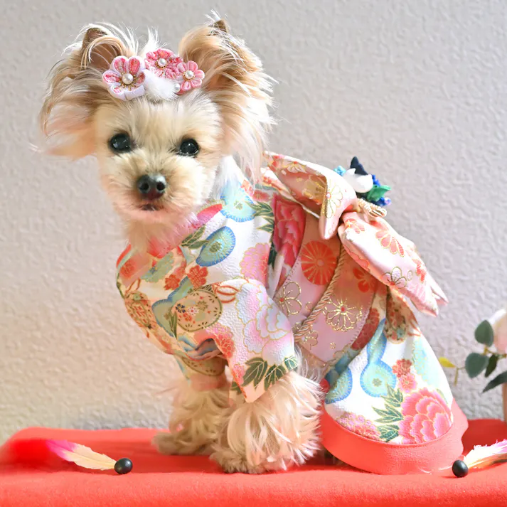 ONEKOSAMA OINUSAMA 振袖 着物風 ペットウェア クリーム 7L 大型犬 洗える ons0057-cr-7L【別送品】