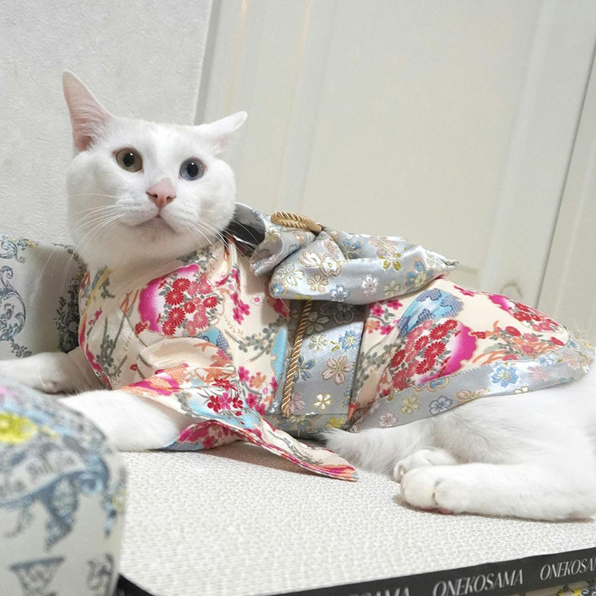 ONEKOSAMA OINUSAMA 振袖 着物風 ペットウェア アイボリー M 小型犬