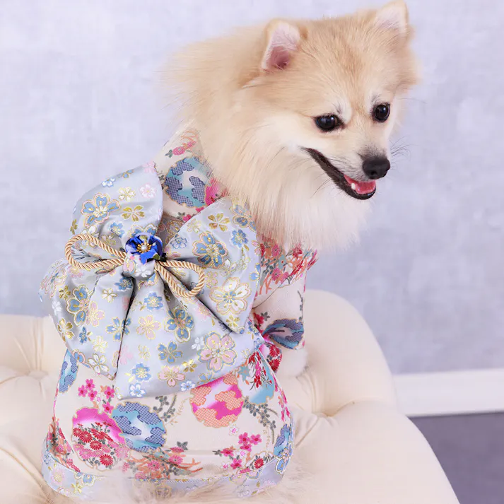 ONEKOSAMA OINUSAMA 振袖 着物風 ペットウェア アイボリー XS 洗える 超小型犬用 記念日 ons0057-iv-XS【別送品】