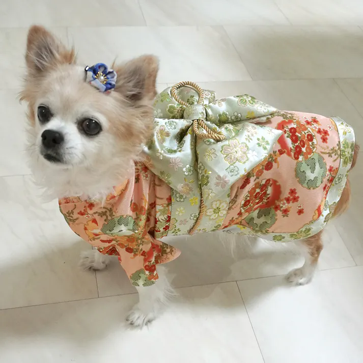 ONEKOSAMA OINUSAMA 振袖 着物風 ペットウェア ピーチ 5L 中型犬 洗える ons0057-peach-5L【別送品】