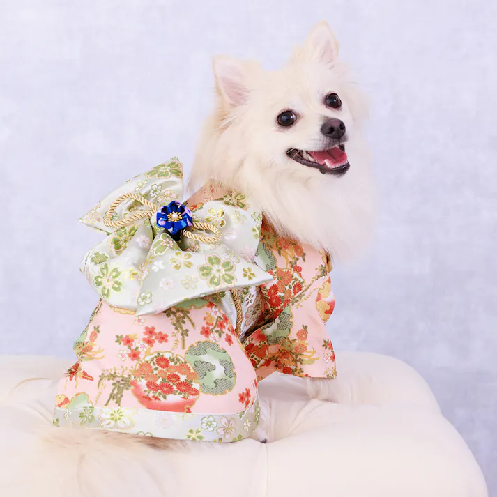 ONEKOSAMA OINUSAMA 振袖 着物風 ペットウェア ピーチ 5L 中型犬 洗える ons0057-peach-5L【別送品】