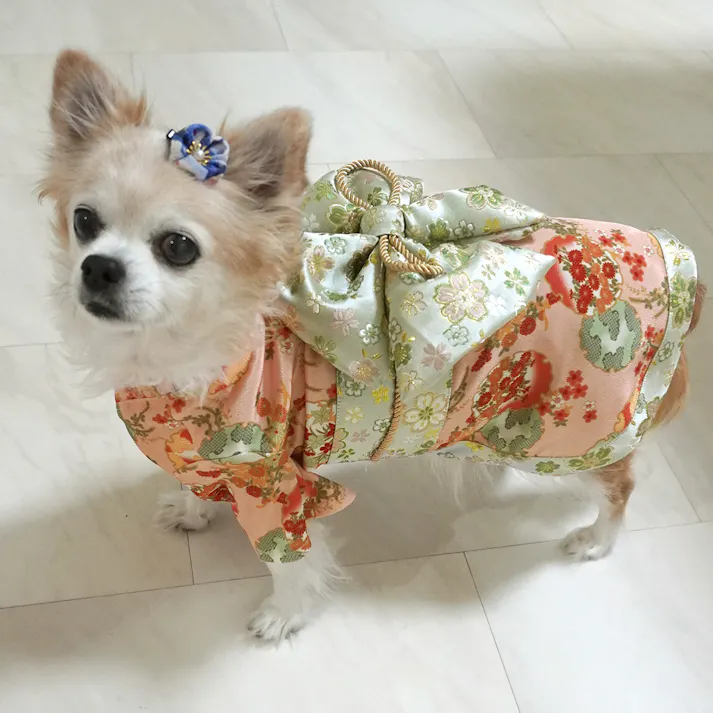 ONEKOSAMA OINUSAMA 振袖 着物風 ペットウェア ピーチ 6L 大型犬 洗える ons0057-peach-6L【別送品】