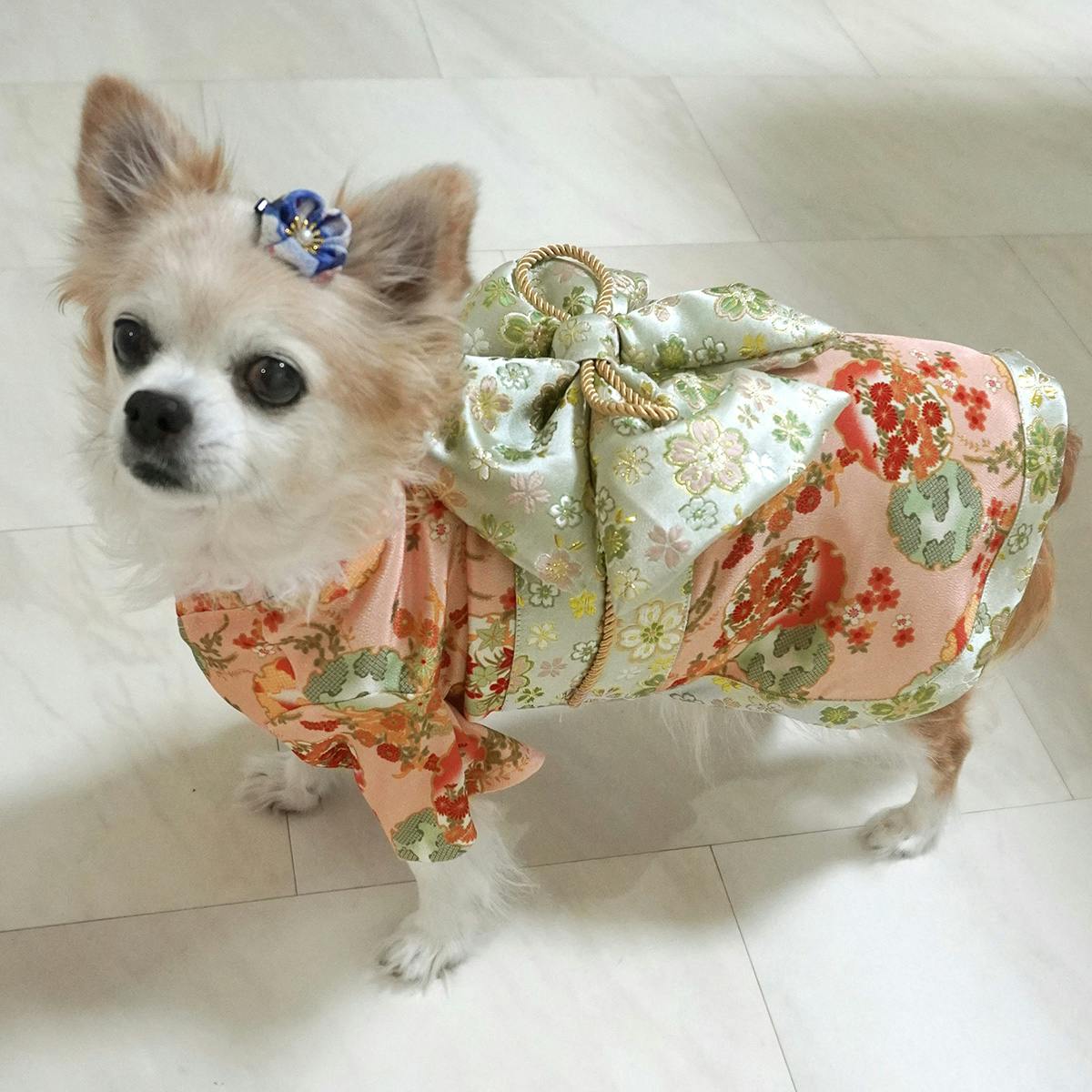 ONEKOSAMA OINUSAMA 振袖 着物風 ペットウェア ピーチ S 小型犬 洗える