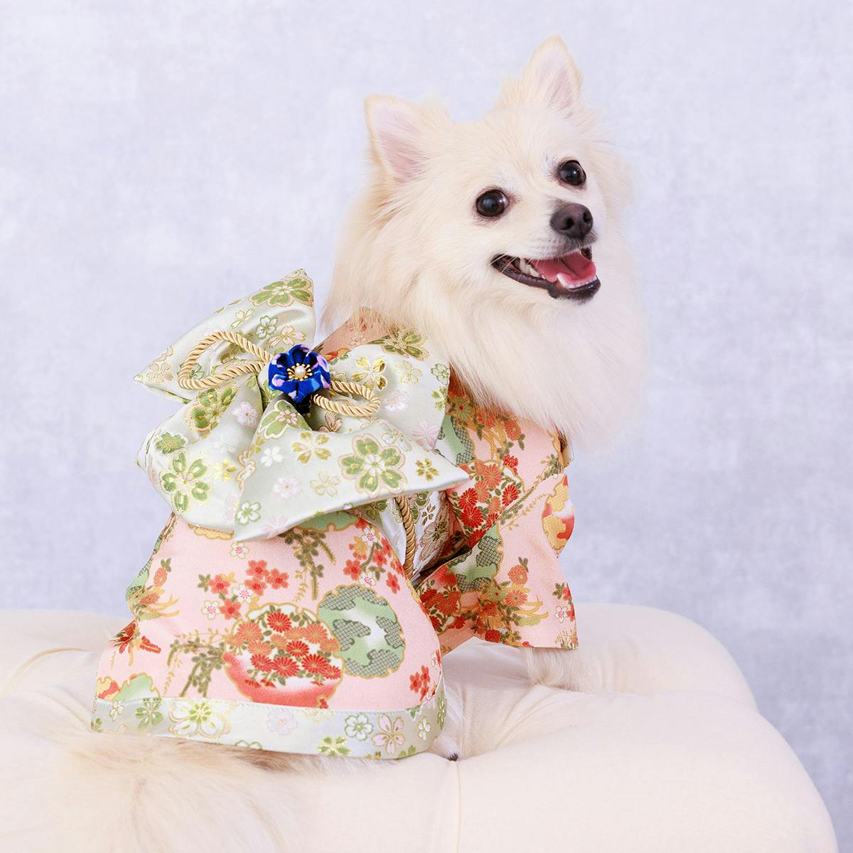 386.pon2pon2☆犬オーダー☆犬お着物☆ワンコお着物 386.pon2pon2☆犬オーダー☆犬お着物☆ワンコお着物