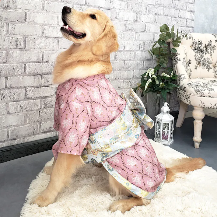 ONEKOSAMA OINUSAMA 振袖 着物風 ペットウェア ピンク 7L 大型犬 洗える ons0057-pk-7L【別送品】