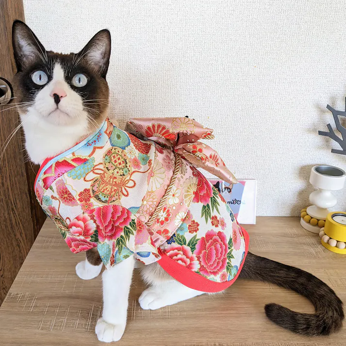 ONEKOSAMA OINUSAMA 振袖 着物風 ペットウェア サクラボタン M 小型犬 洗える ons0057-sakurapeony-M【別送品】