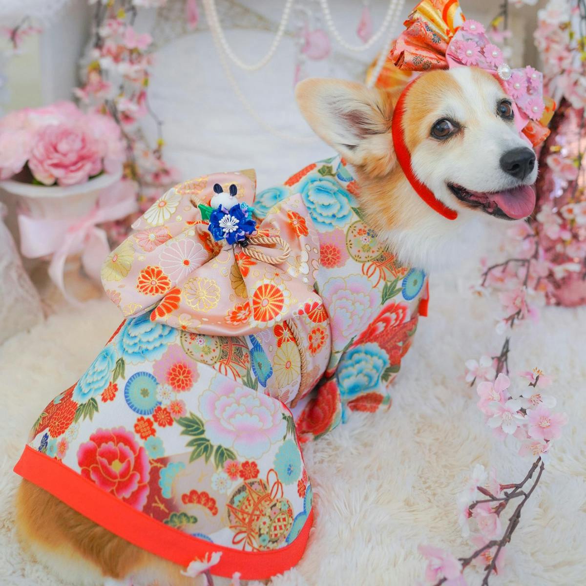 ONEKOSAMA OINUSAMA 振袖 着物風 ペットウェア サクラボタン M 小型犬