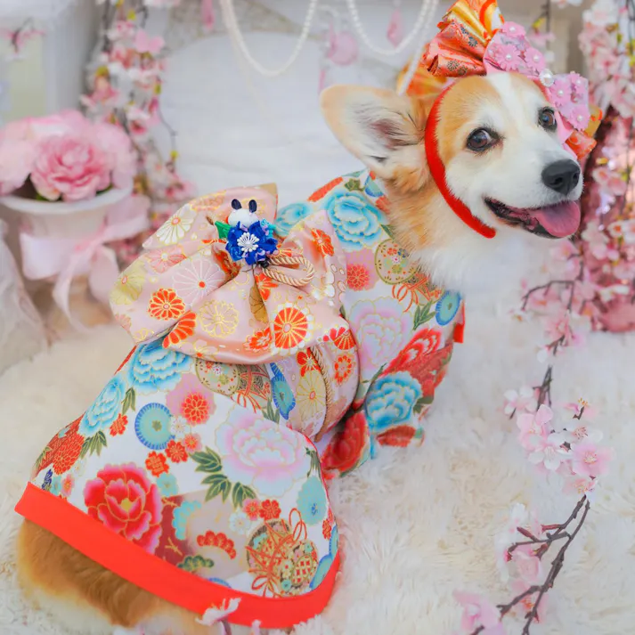 ONEKOSAMA OINUSAMA 振袖 着物風 ペットウェア サクラボタン M 小型犬 洗える ons0057-sakurapeony-M【別送品】