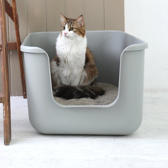 SWEET MOMMY ONEKOSAMA OINUSAMA インテリア 猫 トイレ BEAUTY グレー ons0064-gr【別送品】