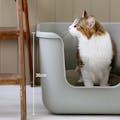SWEET MOMMY ONEKOSAMA OINUSAMA インテリア 猫 トイレ BEAUTY ホワイト ons0064-wh【別送品】