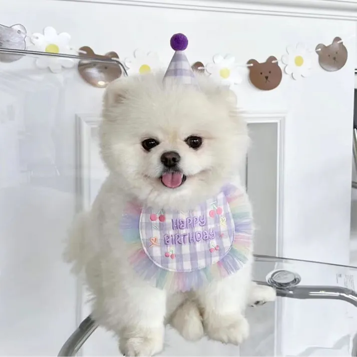 ONEKOSAMA OINUSAMA バースデースタイ&帽子セット 犬 猫 パープル 記念日 リバーシブル 洗える ons0072-pp【別送品】