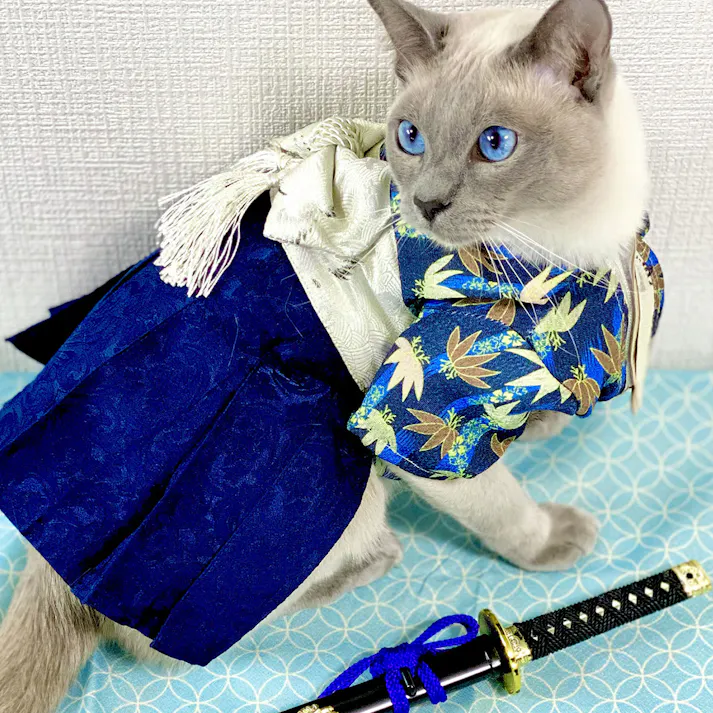 ONEKOSAMA OINUSAMA 袴風 着物 ペットウェア 竹ネイビー M 小型犬 洗える ons0082-banboonv-M【別送品】