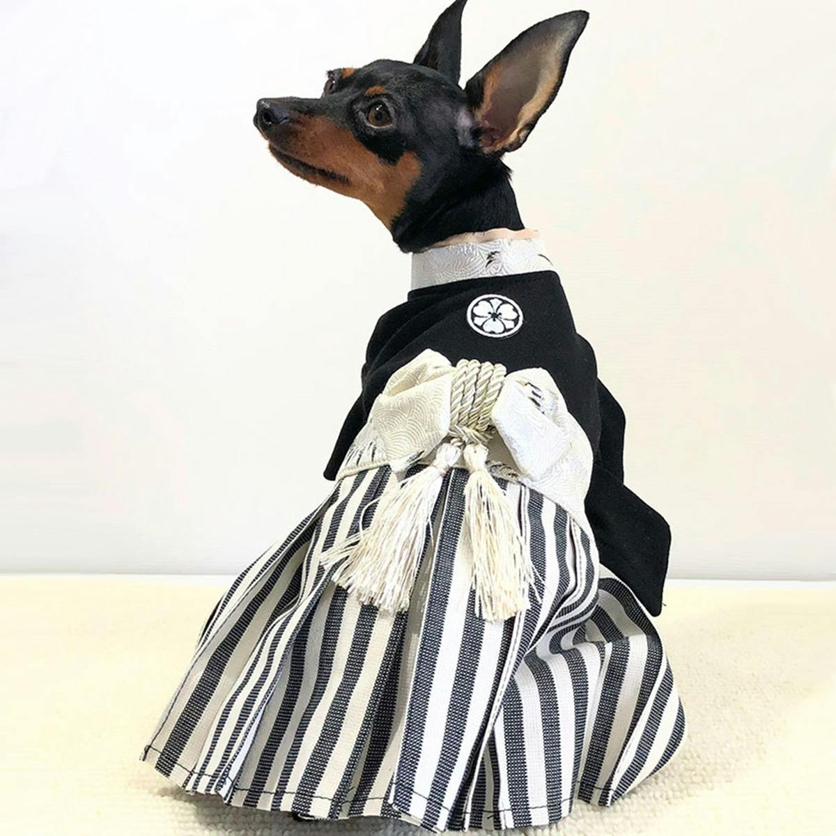 ONEKOSAMA OINUSAMA 袴風 着物 ペットウェア ブラック 6L 大型犬