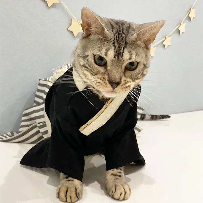 ONEKOSAMA OINUSAMA 袴風 着物 ペットウェア ブラック 6L 大型犬 洗える ons0082-bk-6L【別送品】