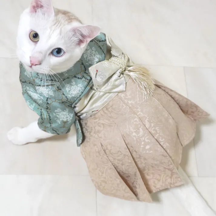 ONEKOSAMA OINUSAMA 袴風 着物 ペットウェア グリーン M 小型犬 洗える ons0082-green-M【別送品】