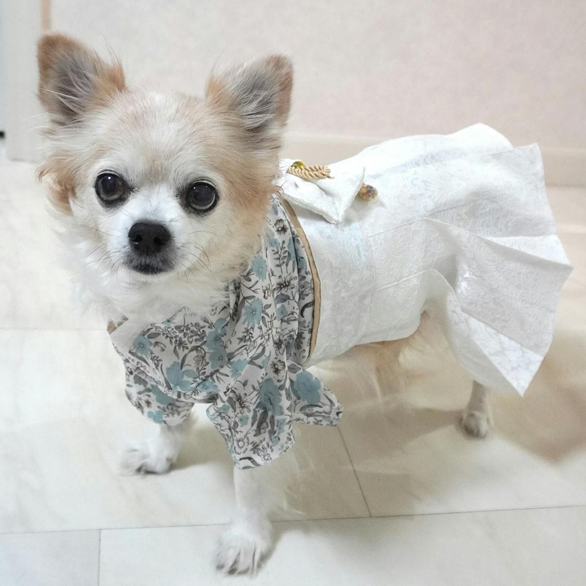 ONEKOSAMA OINUSAMA 袴風 着物 ペットウェア 小花柄ブルーグレー 3L