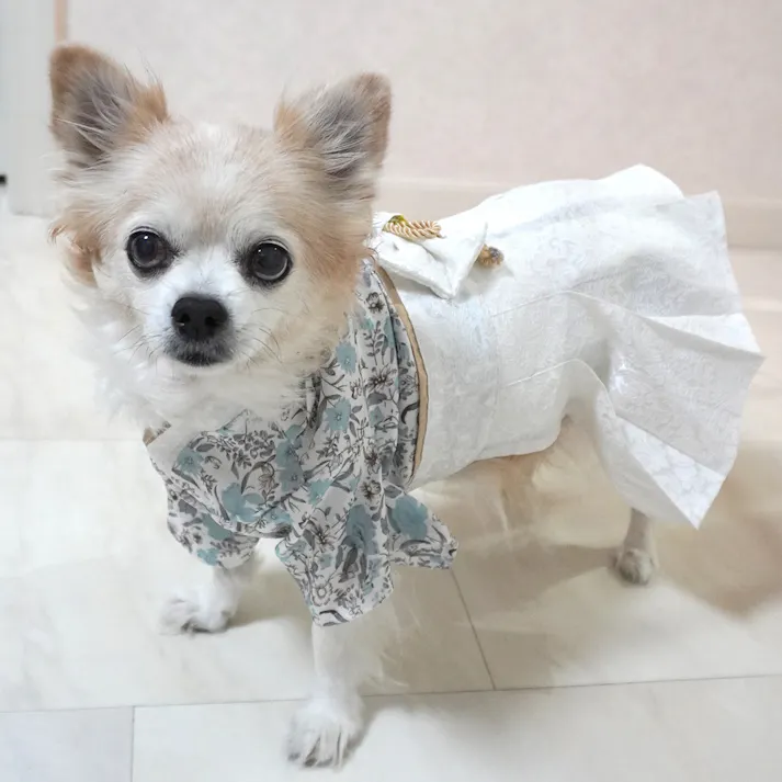 ONEKOSAMA OINUSAMA 袴風 着物 ペットウェア 小花柄ブルーグレー 4L 中型犬 洗える ons0082-st-blgr-4L【別送品】