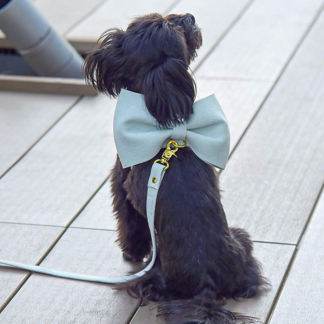 ONEKOSAMA OINUSAMA スウェード調 ビッグリボンハーネス 犬 猫