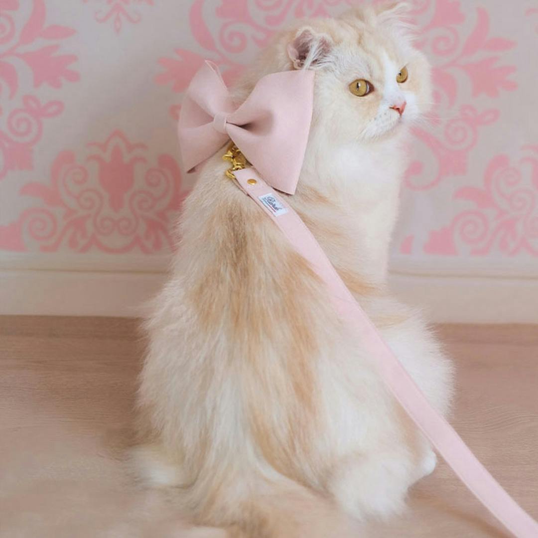 ONEKOSAMA OINUSAMA スウェード調 ビッグリボン首輪 犬 猫 ピンク M