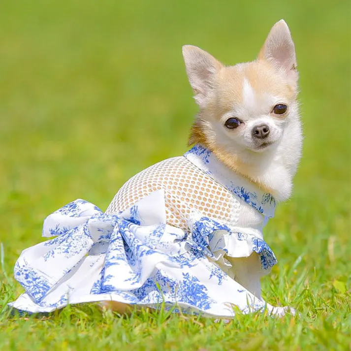 ONEKOSAMA OINUSAMA サンドレス ペットウェア トワルドジュイ ブルー L 小型犬 洗える ons0093-bl-L【別送品】