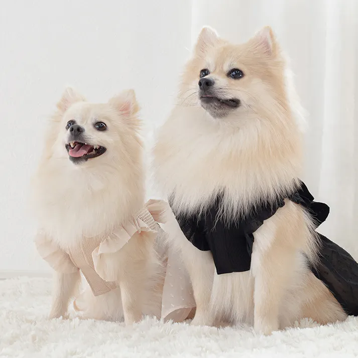 ONEKOSAMA OINUSAMA サンドレス ペットウェア ドビーシフォン アイボリー M 小型犬 洗える ons0093-cf-iv-M【別送品】