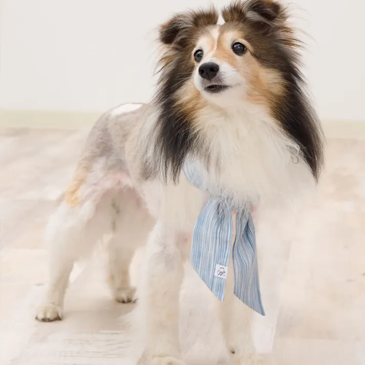 ONEKOSAMA OINUSAMA 日本製 不凍ジェル付きクールネック ペットスカーフ ブルー 大型犬用 洗濯可 ons0099-bl-70【別送品】