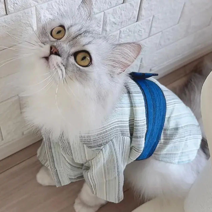 ONEKOSAMA OINUSAMA DESIGNERS GUILD 浴衣 ペットウェア ストライプ柄 ホワイト 9L 大型犬 洗える ons0100-wh-9L【別送品】