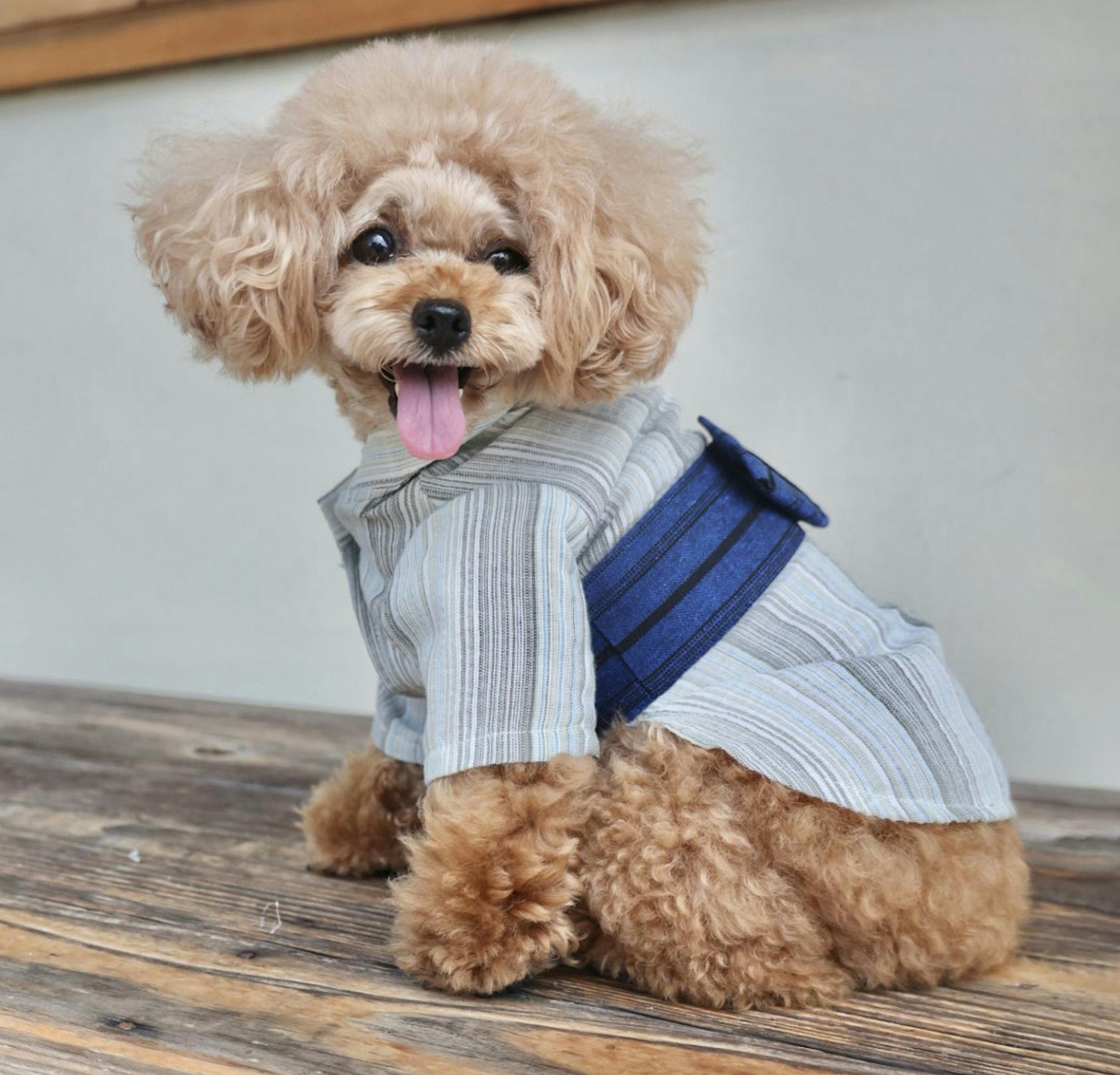 ONEKOSAMA OINUSAMA DESIGNERS GUILD 浴衣 ペットウェア