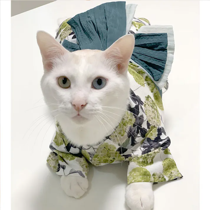 ONEKOSAMA OINUSAMA DESIGNERS GUILD 浴衣 ペットウェア 花柄 グリーン 4L 中型犬 洗える ons0102-green-4L【別送品】