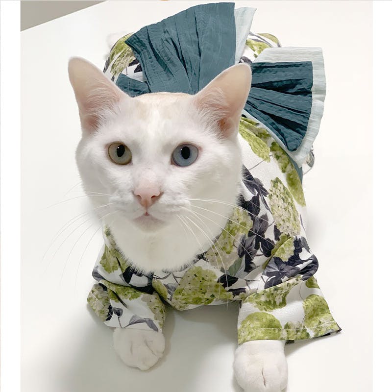 ONEKOSAMA OINUSAMA DESIGNERS GUILD 浴衣 ペットウェア 花柄