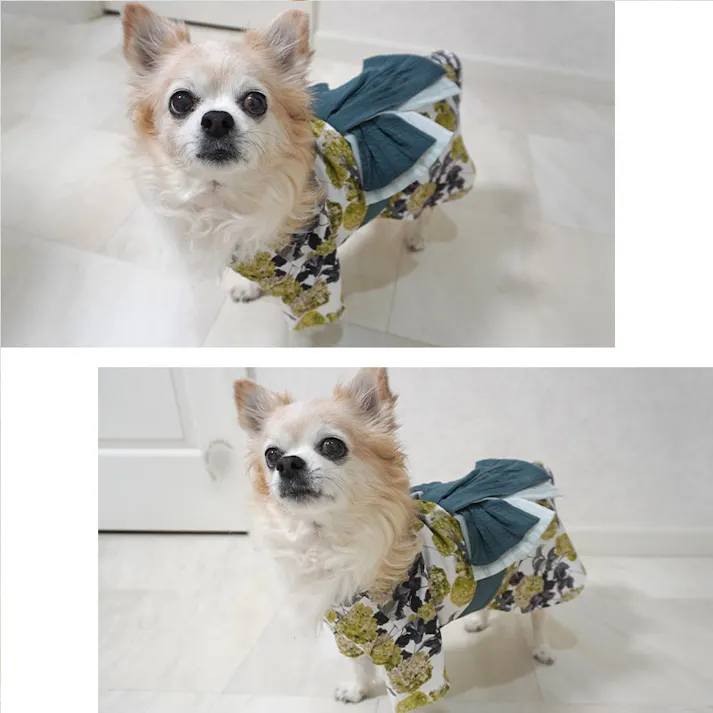 ONEKOSAMA OINUSAMA DESIGNERS GUILD 浴衣 ペットウェア 花柄 グリーン 7L 大型犬 洗える ons0102-green-7L【別送品】