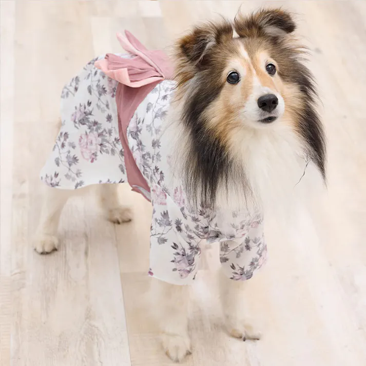 ONEKOSAMA OINUSAMA DESIGNERS GUILD 浴衣 ペットウェア 花柄 ピンク 7L 大型犬 洗える ons0102-pk-7L【別送品】