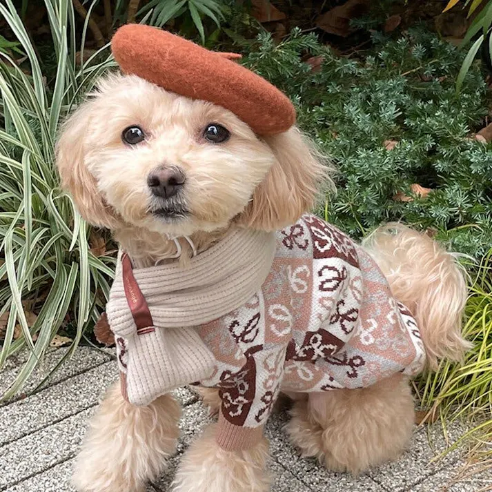 ONEKOSAMA OINUSAMA ペット用ベレー帽/ブラウン/F 洗える おしゃれ アクセサリー ons0056-br【別送品】