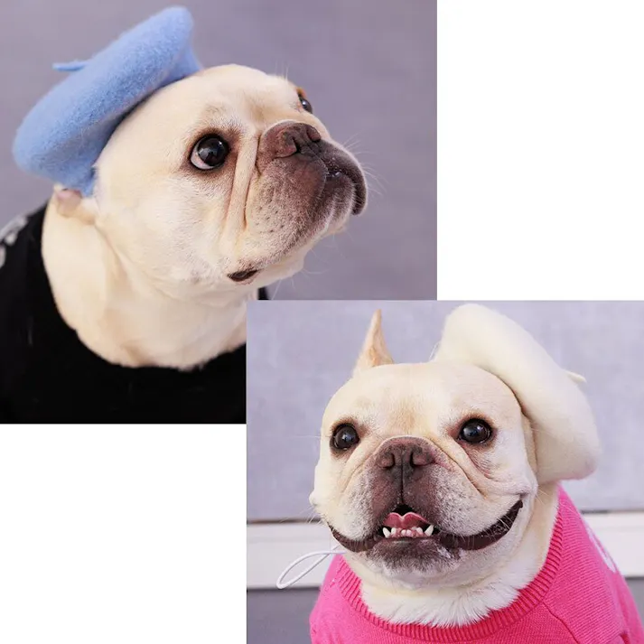 ONEKOSAMA OINUSAMA ペット用ベレー帽/ライトブルー/F 洗える おしゃれ アクセサリー ons0056-lbl【別送品】