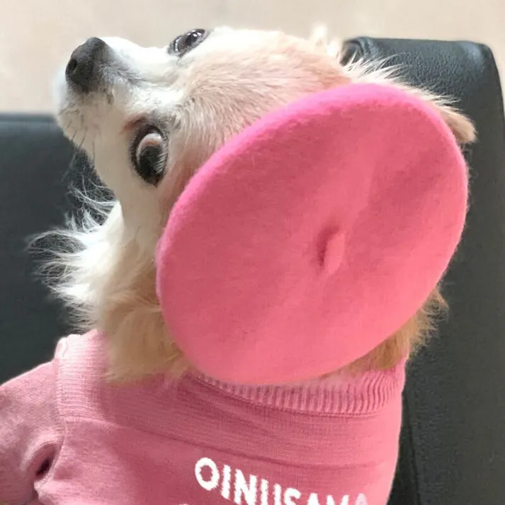 ONEKOSAMA OINUSAMA ペット用ベレー帽/ピンク/F 洗える おしゃれ アクセサリー ons0056-pk【別送品】