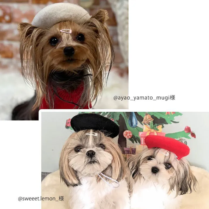 ONEKOSAMA OINUSAMA ペット用ベレー帽/イエロー/F 洗える おしゃれ アクセサリー ons0056-ye【別送品】