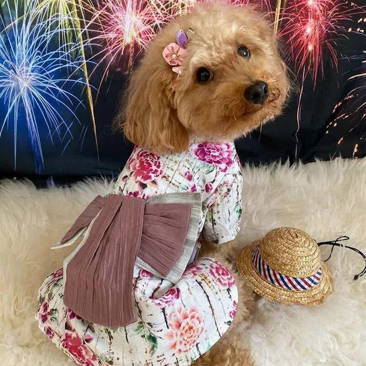 ONEKOSAMA OINUSAMA 浴衣 ペットウェア 花柄/コーラル/9L 大型犬 洗える ons0102-coral-9L【別送品】