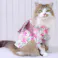 ONEKOSAMA OINUSAMA 浴衣 ペットウェア 花柄/コーラル/M 小型犬 洗える ons0102-coral-M【別送品】