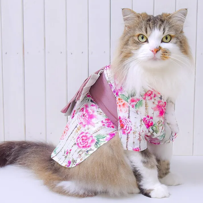 ONEKOSAMA OINUSAMA 浴衣 ペットウェア 花柄/コーラル/XS 洗える 超小型犬用 ons0102-coral-XS【別送品】