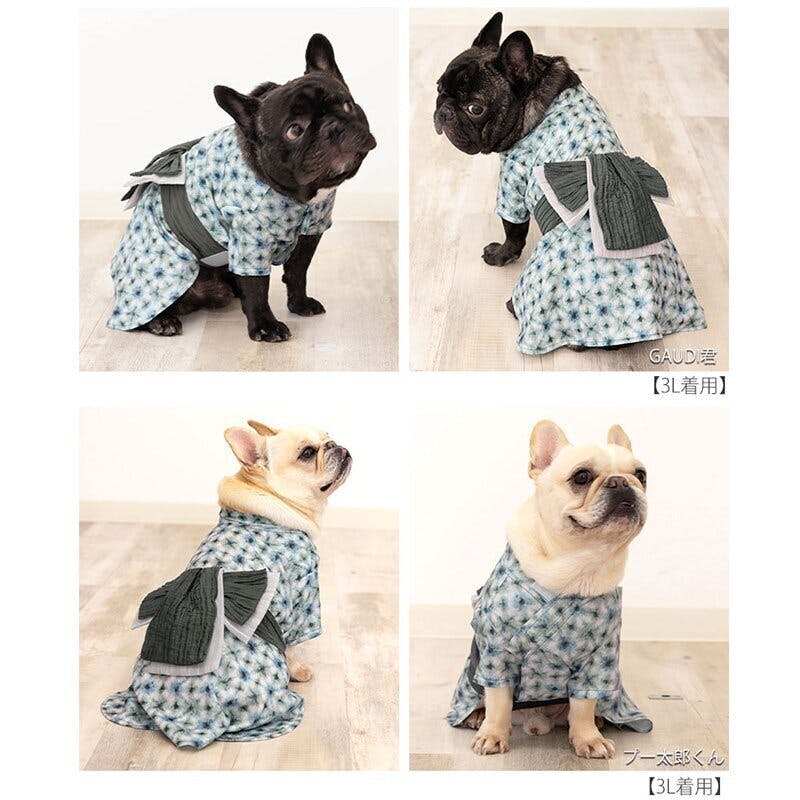 ONEKOSAMA OINUSAMA 浴衣 ペットウェア ストライプ柄/グレー/4L 中型犬
