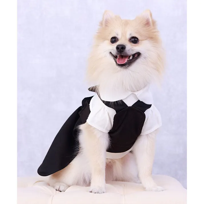 ONEKOSAMA OINUSAMA ペット用キャミワンピース/ブラック/2L 小型犬 洗える ons0106-bk-2L【別送品】