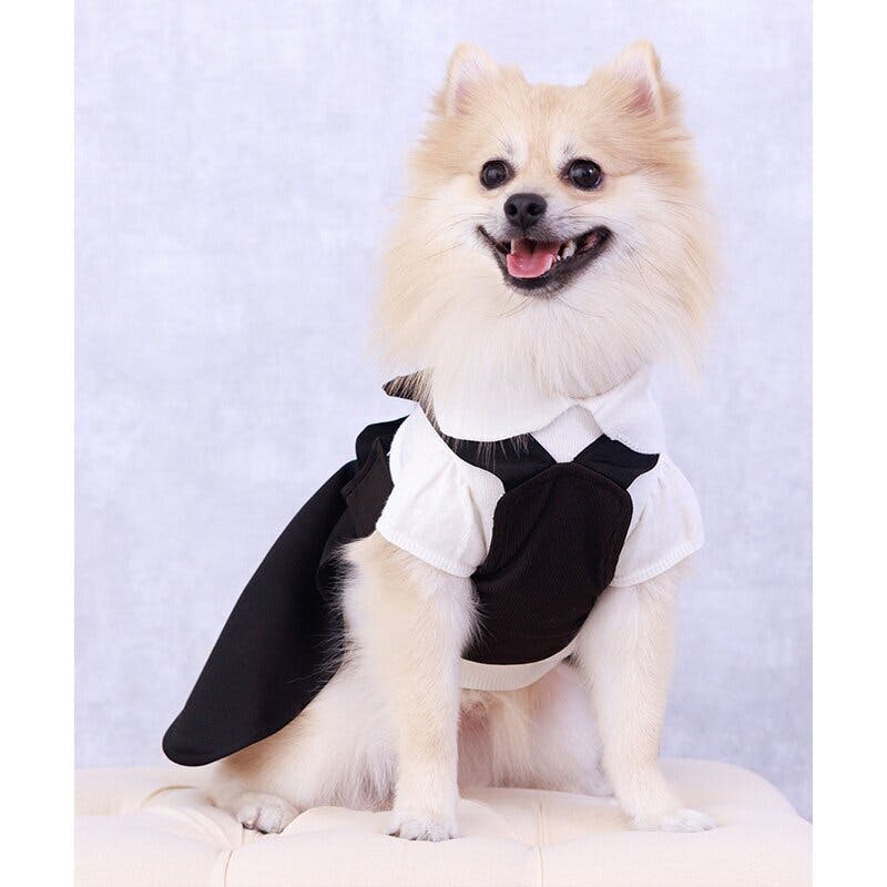 ONEKOSAMA OINUSAMA ペット用キャミワンピース/ブラック/8L 大型犬