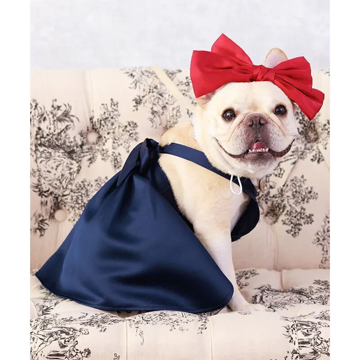 ONEKOSAMA OINUSAMA ペット用キャミワンピース/ネイビー/4L 中型犬 洗える ons0106-nv-4L【別送品】