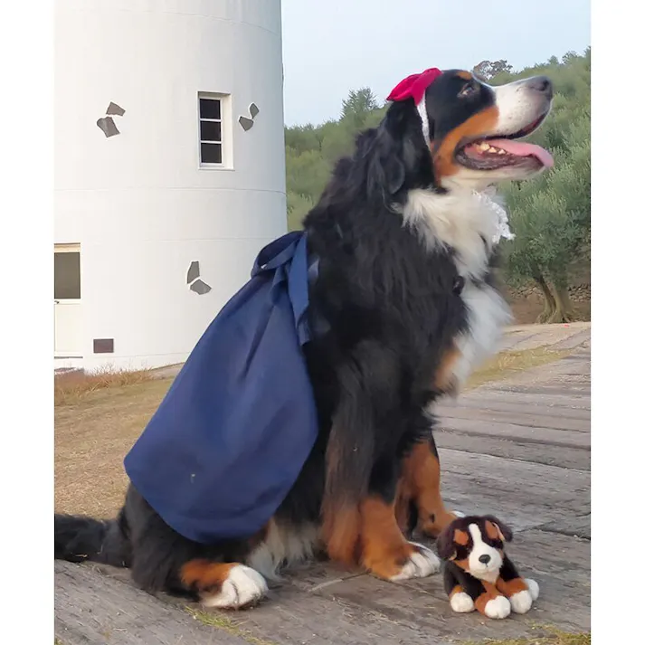 ONEKOSAMA OINUSAMA ペット用キャミワンピース/ネイビー/M 小型犬 洗える ons0106-nv-M【別送品】