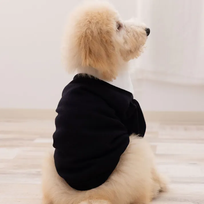 ONEKOSAMA OINUSAMA 丸襟ニット/ブラック×ホワイト/L 小型犬 洗える 襟付き ons0107-bkwh-L【別送品】