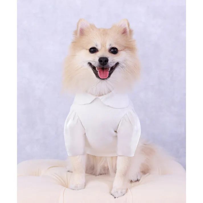 ONEKOSAMA OINUSAMA 丸襟ニット/ホワイト×ホワイト/M 小型犬 洗える 襟付き ons0107-whwh-M【別送品】