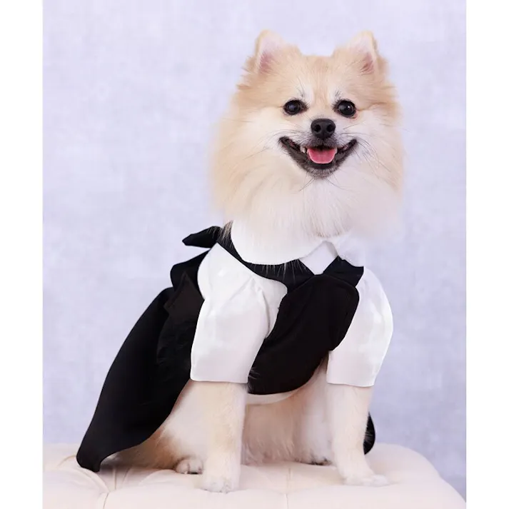 ONEKOSAMA OINUSAMA 丸襟ニット/ホワイト×ホワイト/M 小型犬 洗える 襟付き ons0107-whwh-M【別送品】