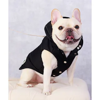 ONEKOSAMA OINUSAMA ファイバーダウンベスト 撥水加工/ブラック/2L-3L 小型犬 洗える 防寒 ons0109-bk-2L-3L【別送品】