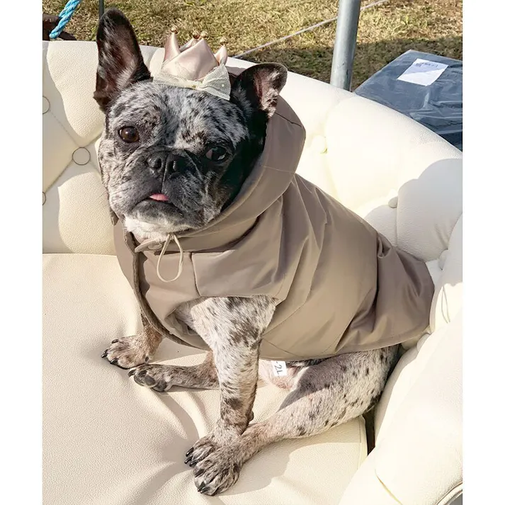 ONEKOSAMA OINUSAMA ファイバーダウンベスト 撥水加工/グレージュ/M-L 小型犬 洗える フード付き ons0109-gre-M-L【別送品】